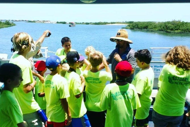 dolphin-and-wildlife-adventure-of-st-augustine