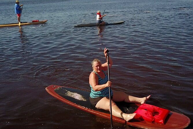 dolphin-manatee-and-seaturtle-sup-adventure-tour-of-st-augustine