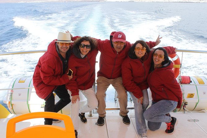 dolphin-mini-cruise-at-playa-del-carmen