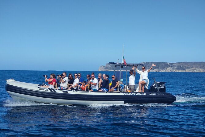 dolphin-watching-and-boat-tour-in-sesimbra
