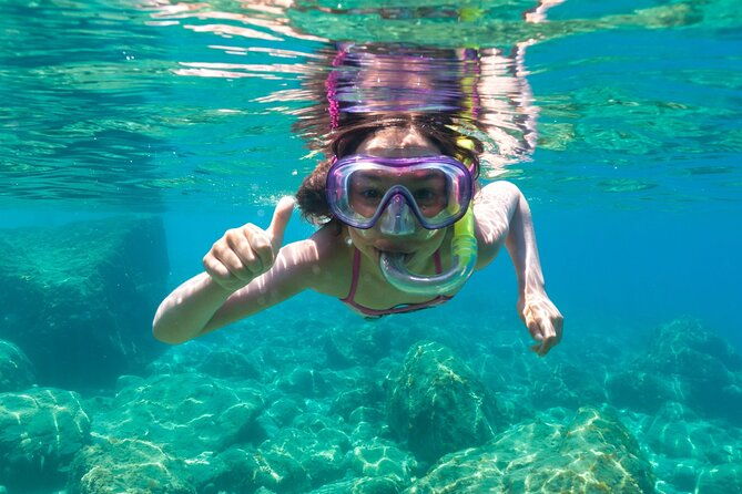 dolphin-watching-and-snorkeling-in-figarolo-in-sardinia