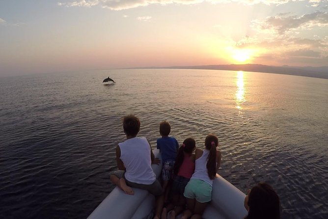 dolphin-watching-conservation-dolphins-in-the-gulf-of-catania