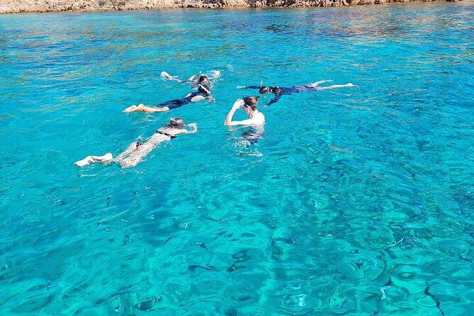 dolphin-watching-tour-with-snorkeling-from-olbia