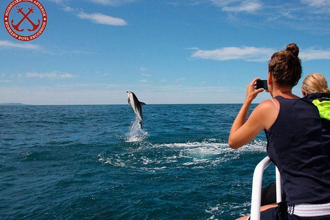 dolphins-watching-in-the-national-park-brijuni-from-pula