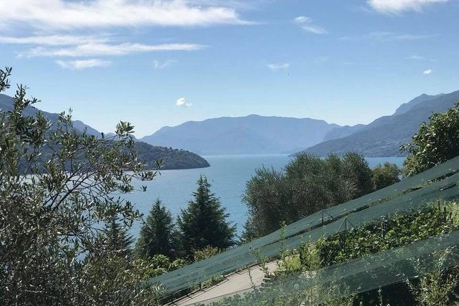 domaso-wine-tasting-at-the-winery-on-como-lake