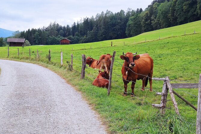 dragon-slayer-way-beer-hike-food-experience-private-tour-departs-munich