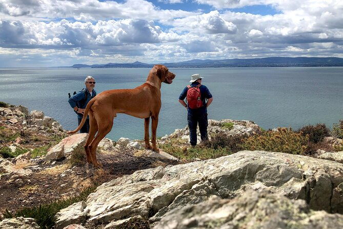 dublin-coastal-hike-with-howth-adventures