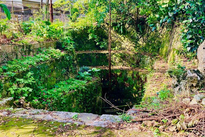 e-bike-nature-tour-in-shuri