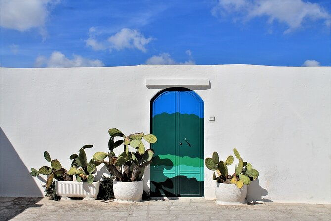 e-bike-tour-in-the-plain-of-the-secular-olive-trees-of-ostuni