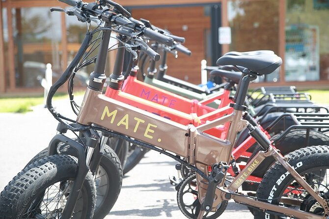 e-bike-tour-through-forests-and-springs-on-a-1000m-plateau