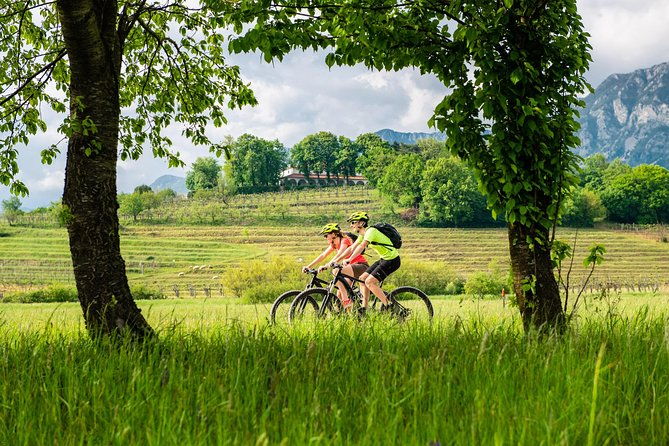 e-bike-vipava-river-tour