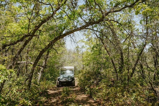 east-zion-brushy-cove-jeep-tour