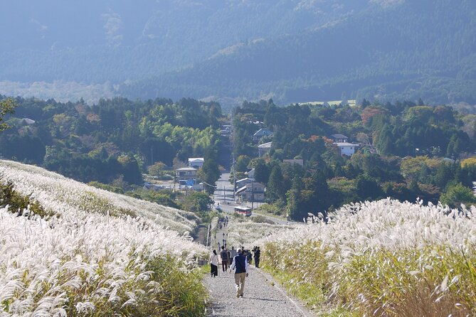 easygoing-nature-walk-in-hakone-tour