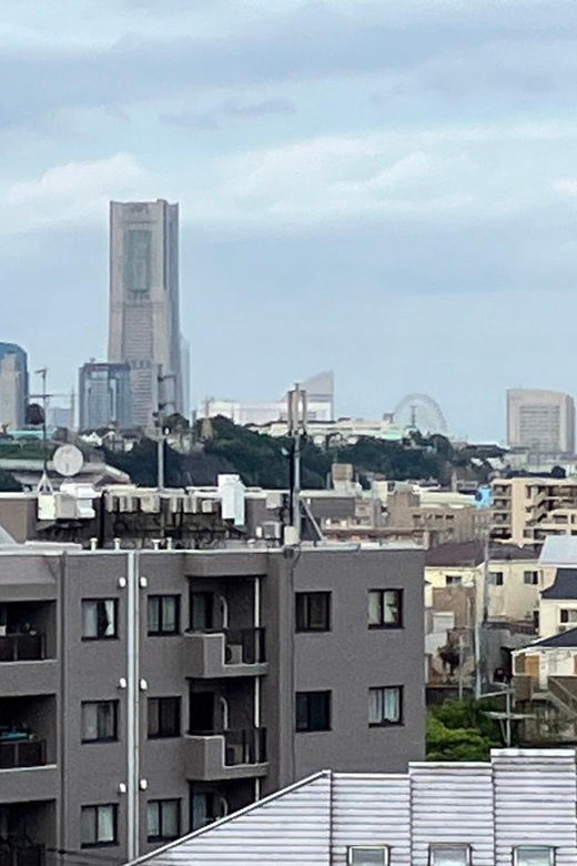 eat-like-a-local-in-yokohama-with-a-local-expert-guide