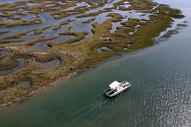 eco-boat-tour-in-the-ria-formosa-lagoon-from-faro