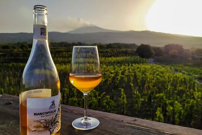 etna-excursion-and-wine-tasting-with-sicilian-lunch