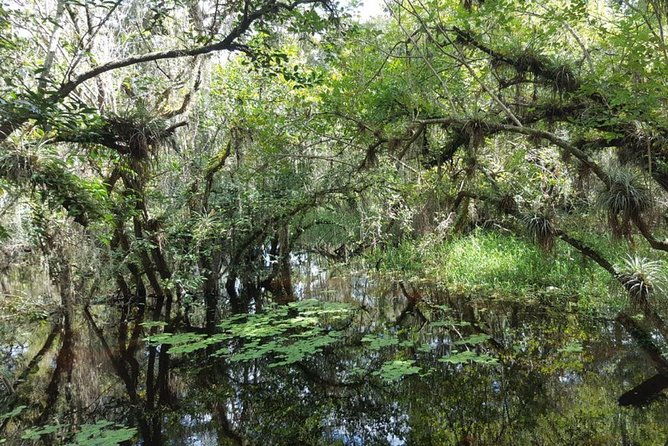 everglades-national-park-biologist-led-adventure-cruise-hike-airboat