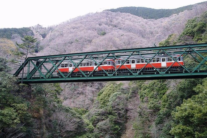 exciting-hakone-one-day-tour-from-tokyo