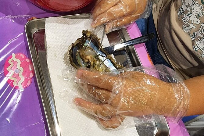 experience-extracting-pearls-from-akoya-oysters%e3%80%80osaka