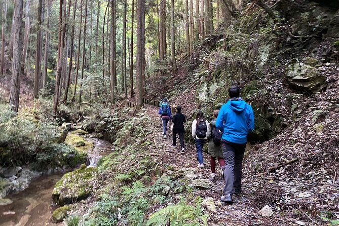 explore-nature-in-yoshino-with-e-bike-tour