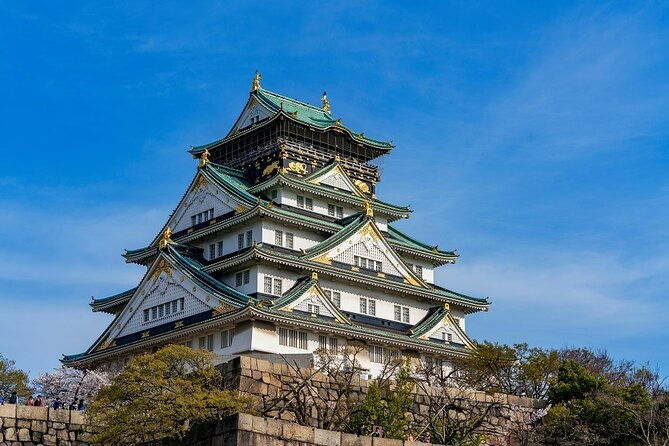 explore-osaka-hotspots-in-1-day-walking-tour-from-osaka