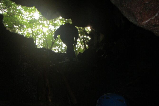 exploring-mt-fuji-ice-cave-and-sea-of-trees-forest