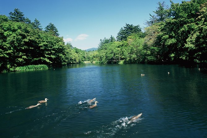 exploring-the-nature-and-sightseeing-spots-of-karuizawa-forest-bathing-cycling