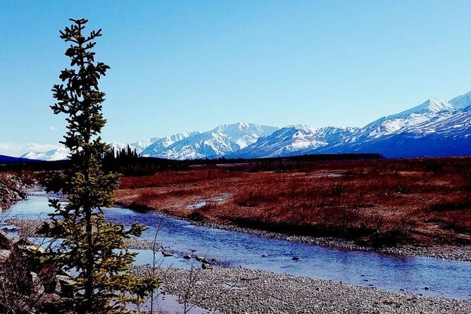 fairbanks-to-denali-shuttle-service