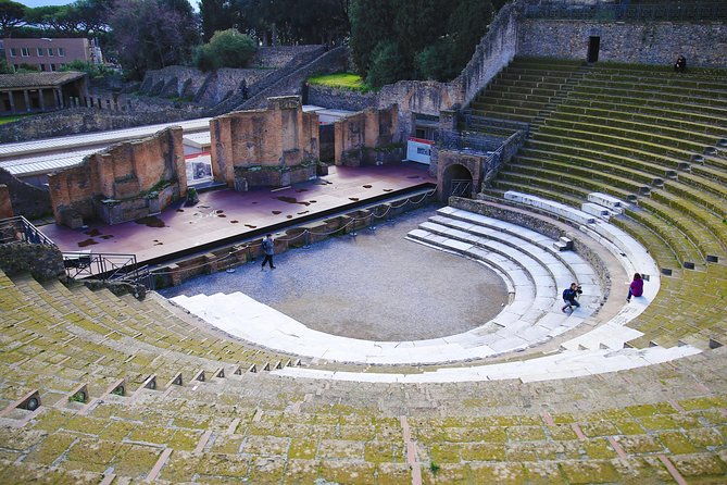fast-access-exclusive-private-ancient-pompeii-half-day-tour-with-local-guide