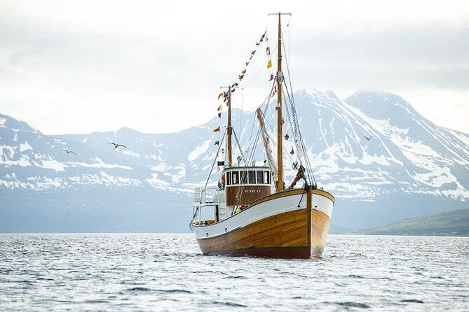 fjord-history-cruise