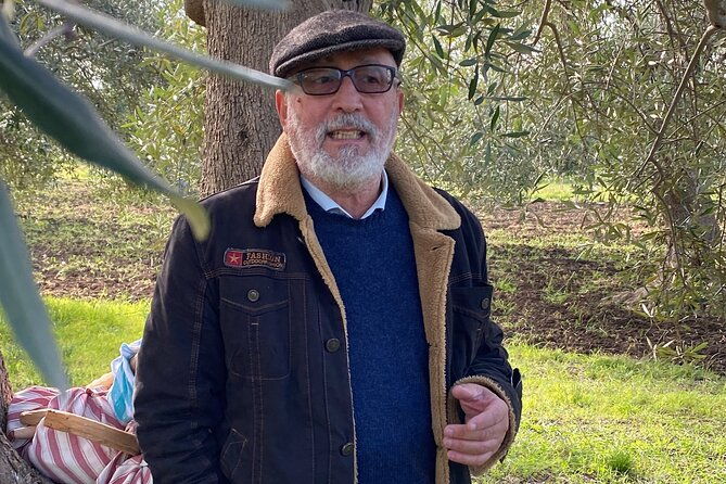 food-and-wine-tour-between-the-patriarchs-olives-and-the-oil-temples