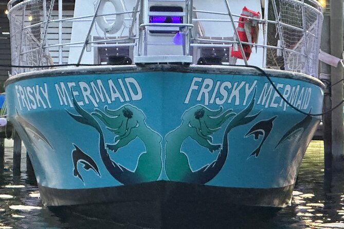 frisky-mermaid-public-dolphin-sightseeing-cruise-up-to-49-pax