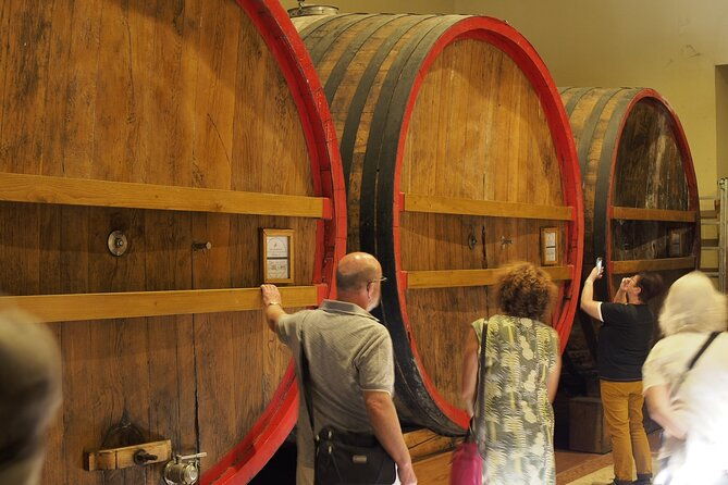 from-lake-garda-full-day-valpolicella-wine-and-lunch-guided-trip