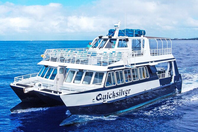 from-maalaea-whale-watching-tour-aboard-the-quicksilver