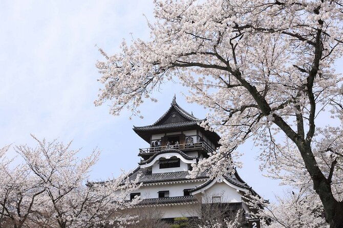 from-nagoya-samurai-swords-and-japan-oldest-castle