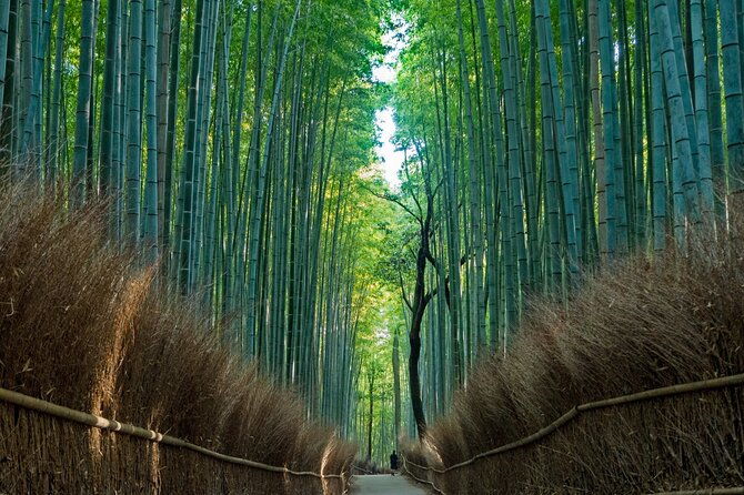 from-osaka-kyoto-kyoto-and-nara-1day-bus-tour