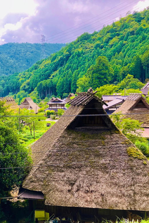 from-osaka-kyoto-thatched-roof-village-private-car-tour