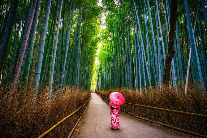 from-osaka-or-kyoto-full-day-sightseeing-tour-of-kyoto
