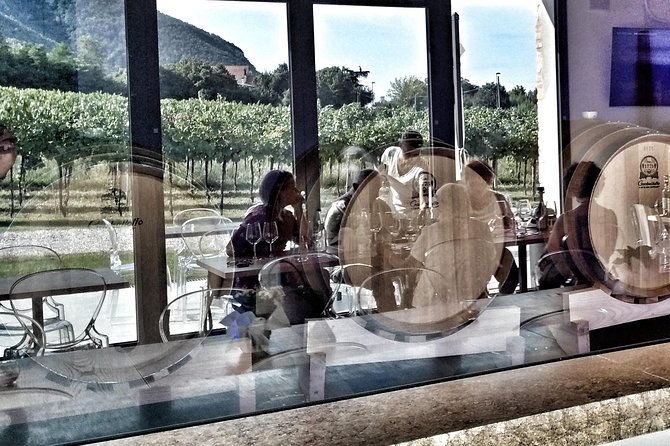 from-padua-olive-oil-wine-in-the-euganean-hills