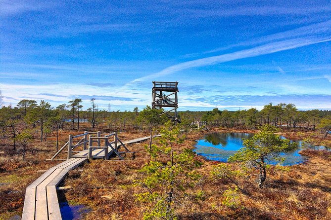 from-riga-best-of-kemeri-national-park-in-one-day
