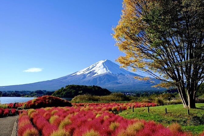 from-tokyo-mount-fuji-full-day-private-tour-with-english-guide-2