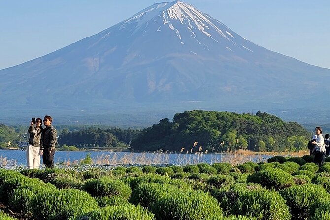 from-tokyo-mount-fuji-full-day-private-tour-with-english-guide