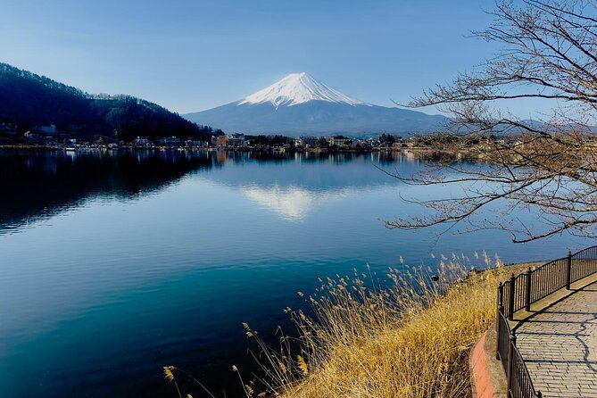 fuji-hakone-cherry-blossom-private-tour