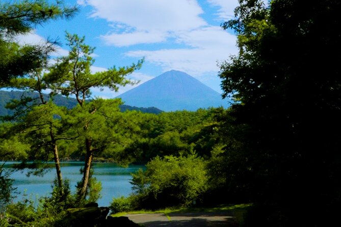 fuji-photo-tour