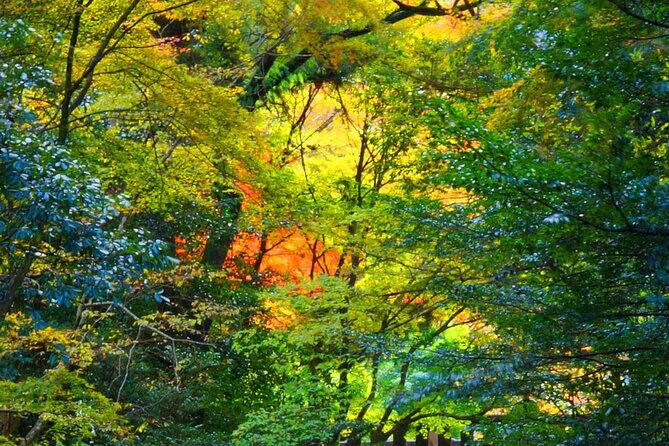 fukuoka-to-takachiho-shrine-tour-with-optional-beef-lunch
