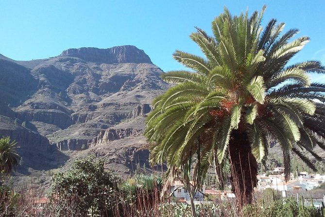 full-day-across-the-island-tour-from-las-palmas