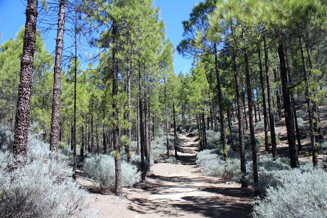 full-day-hiking-gran-canaria-peaks-of-gran-canaria