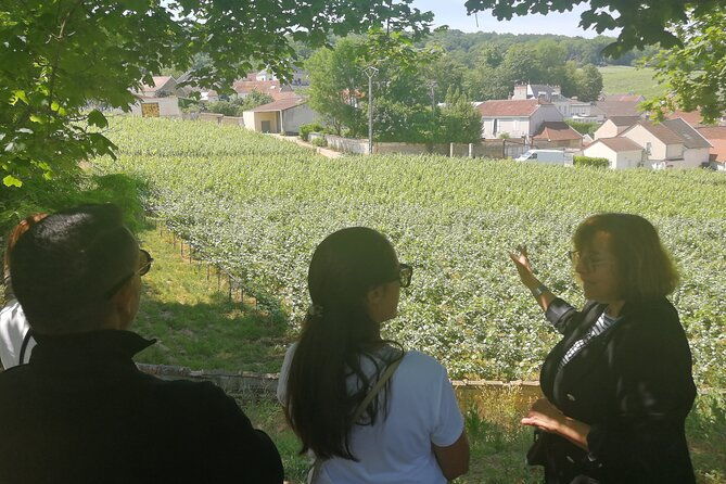full-day-private-champagne-tasting-in-reims-and-its-vineyards