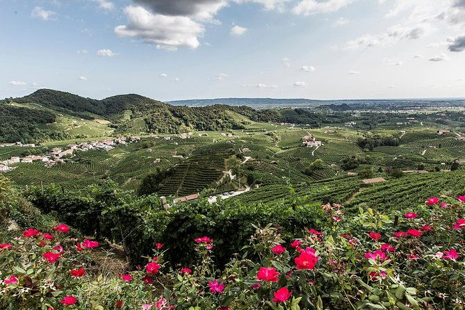full-day-private-prosecco-tour-with-certified-sommelier