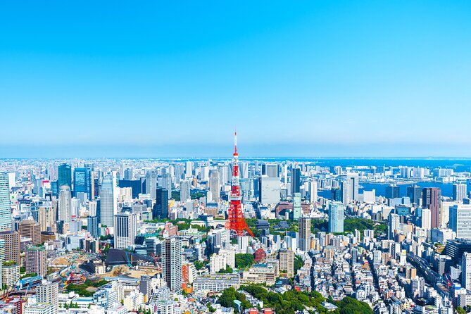 full-day-private-shore-tour-in-tokyo-from-yokohama-cruise-port